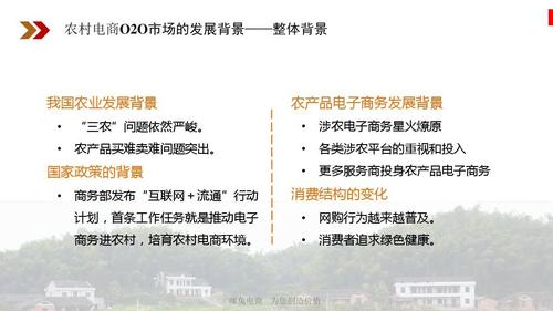 农村电商发展模式