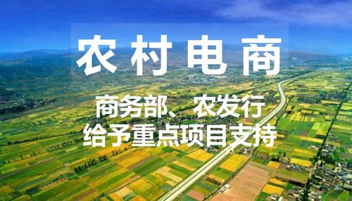 农村电商概念