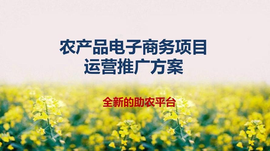 农村电商平台