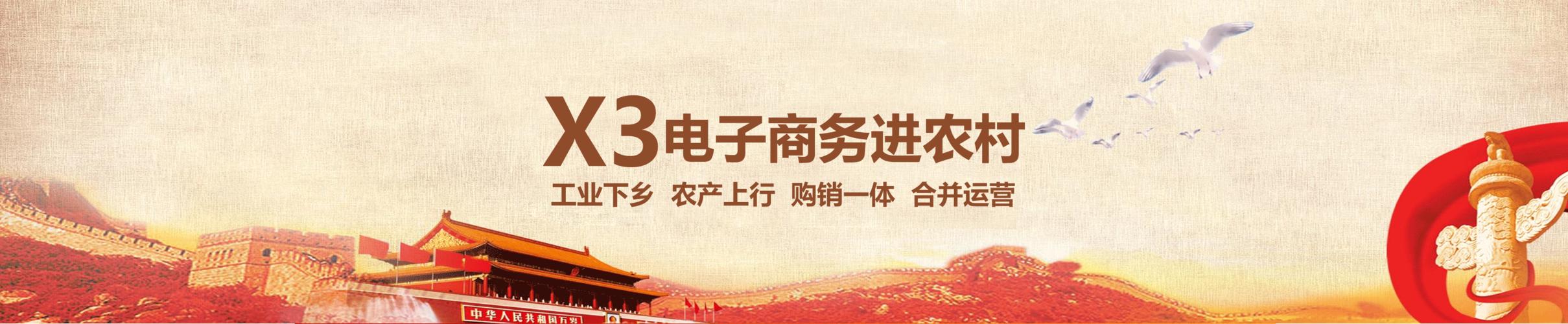 农村电商怎么做
