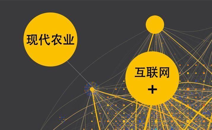 农村电商政策