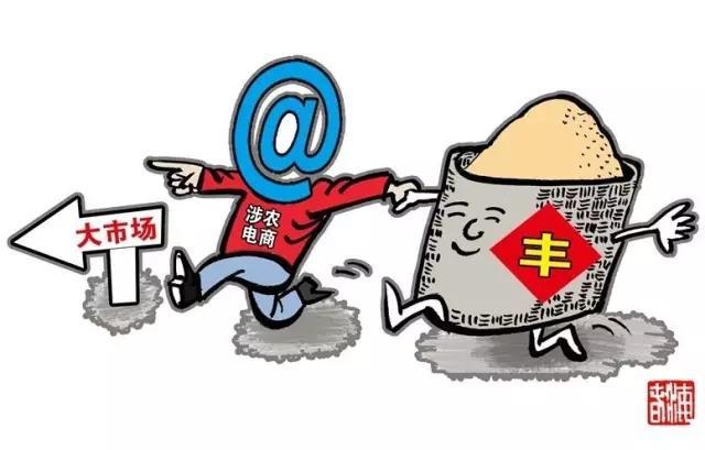 农村电商政策