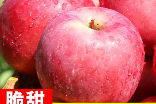 苹果授权电商