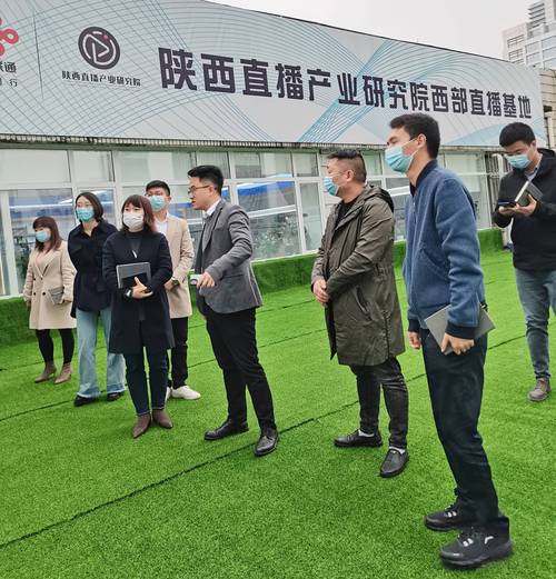 陕西电商比较厉害的公司