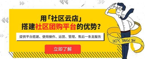 社区电商有哪些