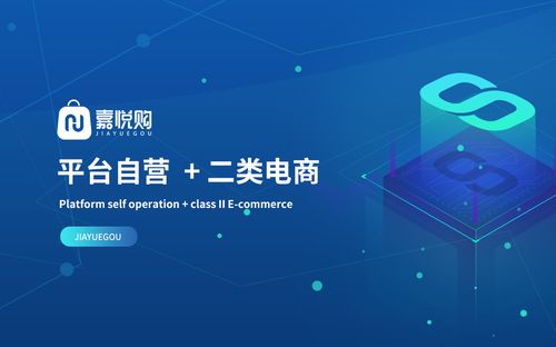 什么叫做电商