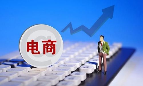 十大垂直电商平台