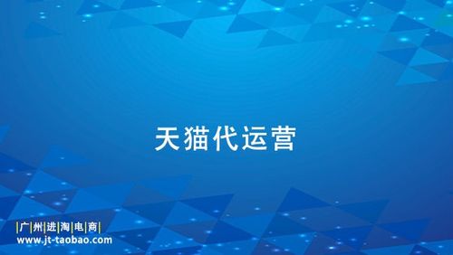 十大电商运营公司