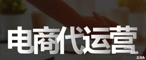 十大电商运营公司