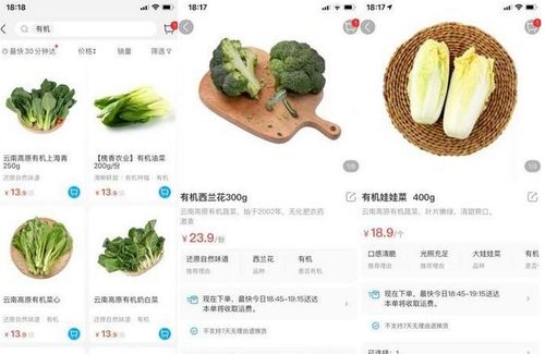 蔬菜电商平台哪个更好