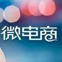 微太电商