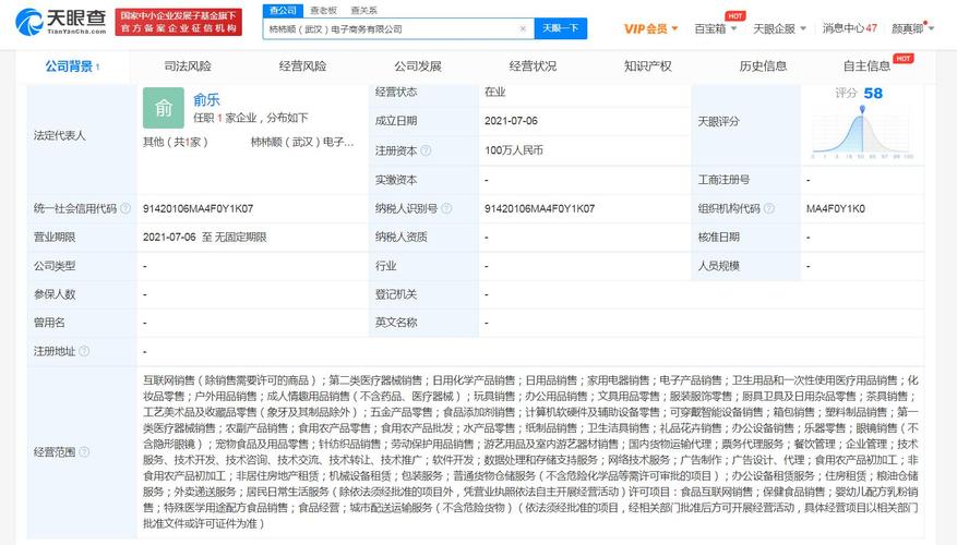 武汉电商公司排名