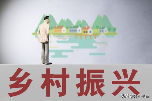 乡村电商