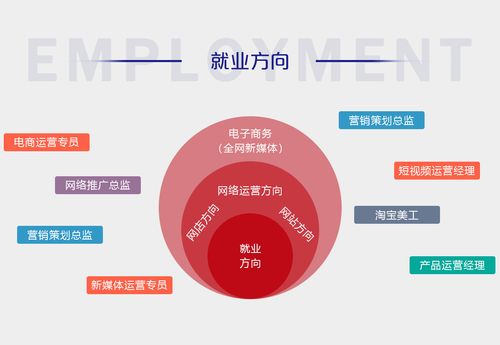 新媒体电商
