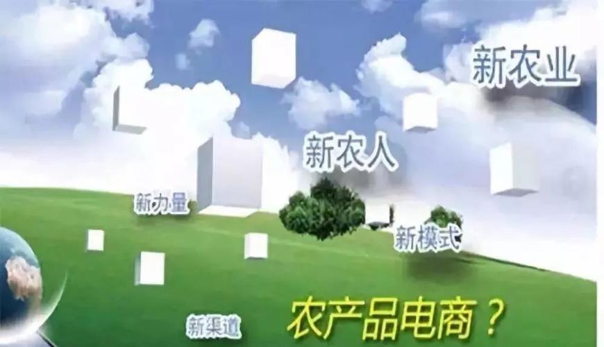 新手怎么做电商卖农产品