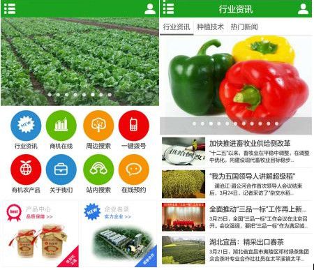 新手怎么做电商卖农产品