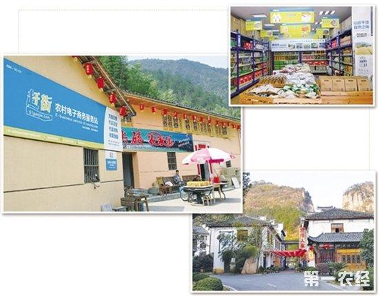 浙江农业电商发展成果