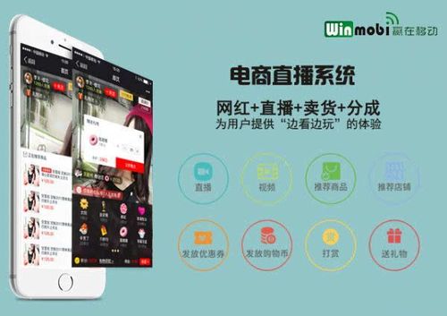 直播电商系统