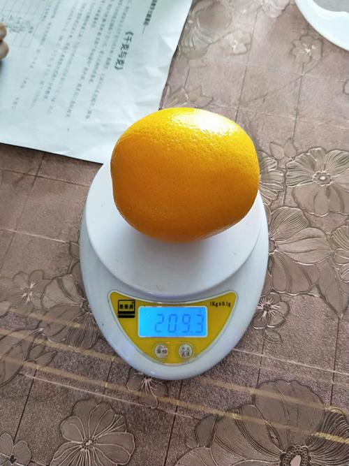 1000克等于多少斤