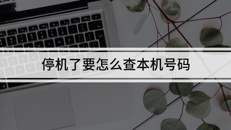 本机号码怎么查