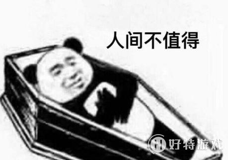 梗是什么意思