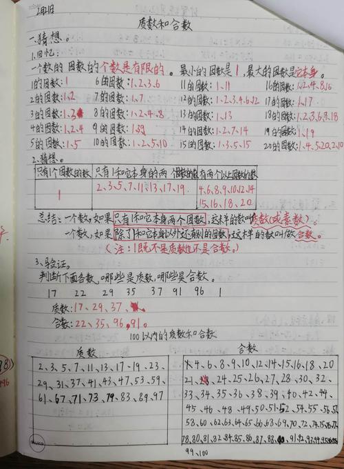 合数的意义