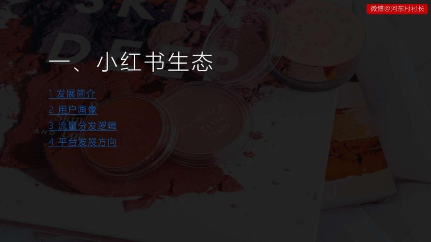 小红书广告投放