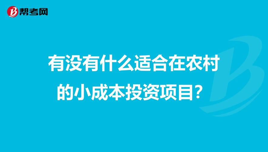 小投资好项目