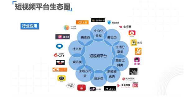 信息的表现形式