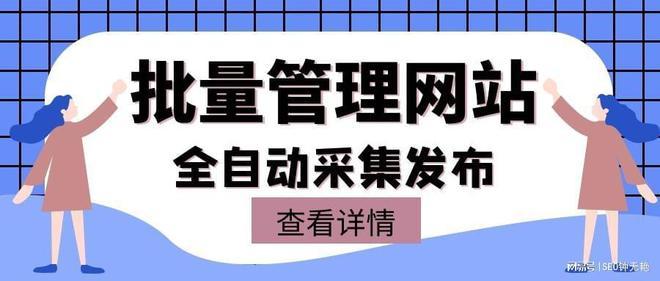 站群优化