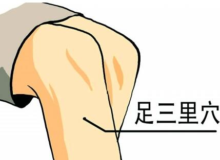 找足三里最笨的方法