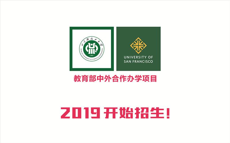 中外合作大学