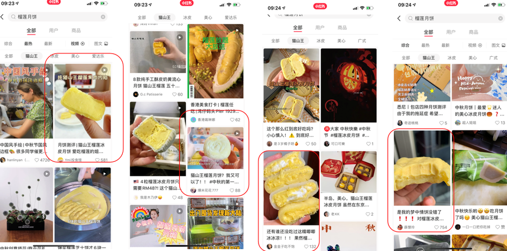 产品小红书推广案例