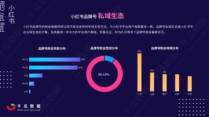 如何推销小红书