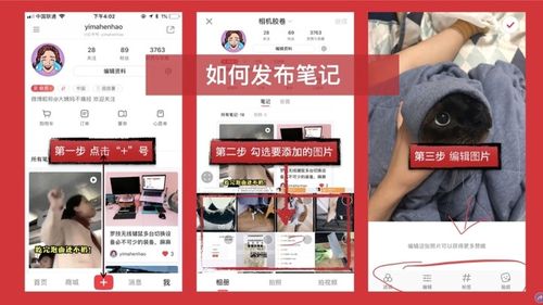 小红书kol推广方案