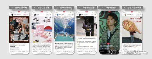 小红书kol运营