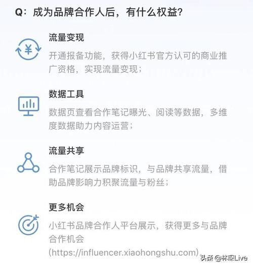 小红书的广告投放