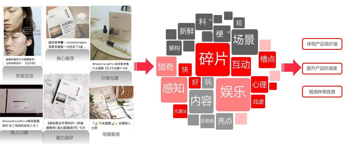 小红书广告策划
