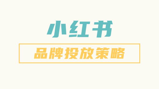 小红书广告策略