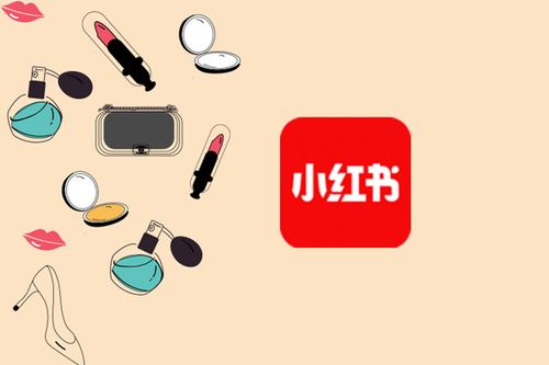 小红书广告销售面试