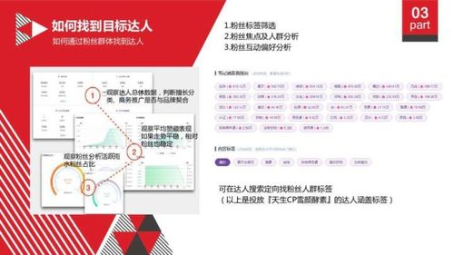 小红书经营策略