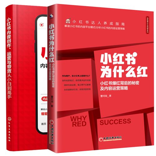 小红书经营策略