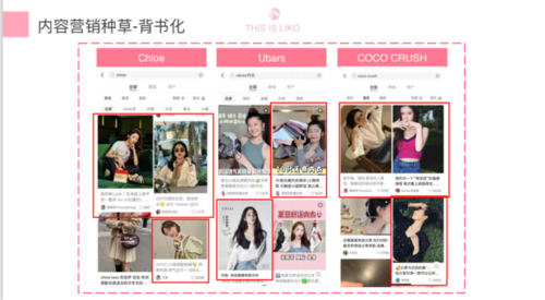 小红书品牌营销优秀案例