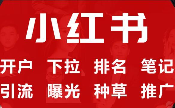 小红书汽车营销