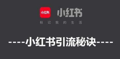 小红书社区推广