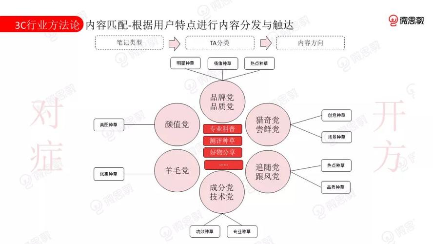 小红书市场策略