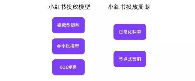 小红书市场营销