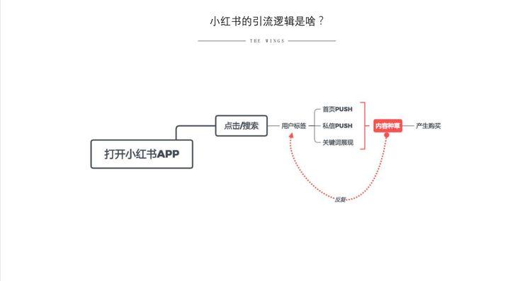小红书投放