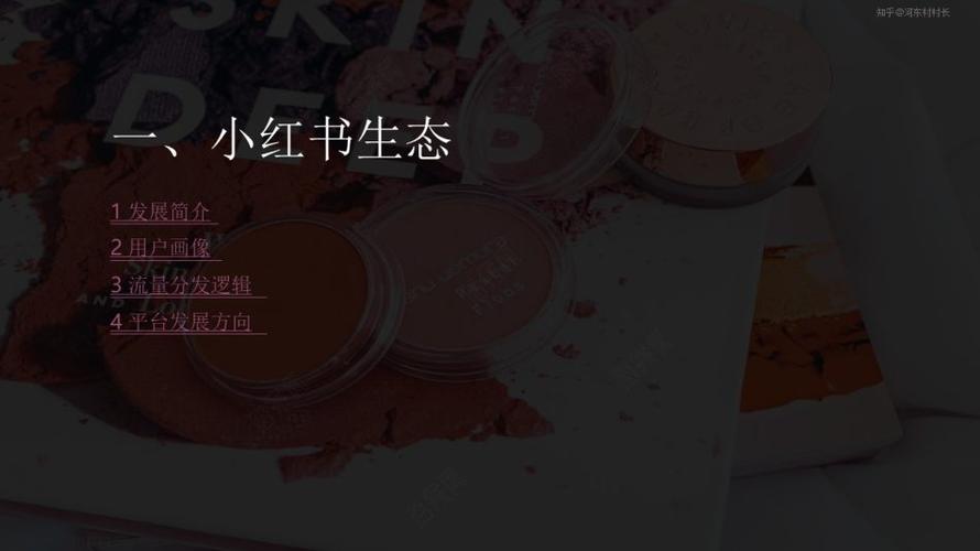 小红书投放策划