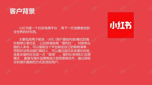 小红书推广案例